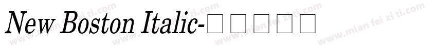 New Boston Italic字体转换